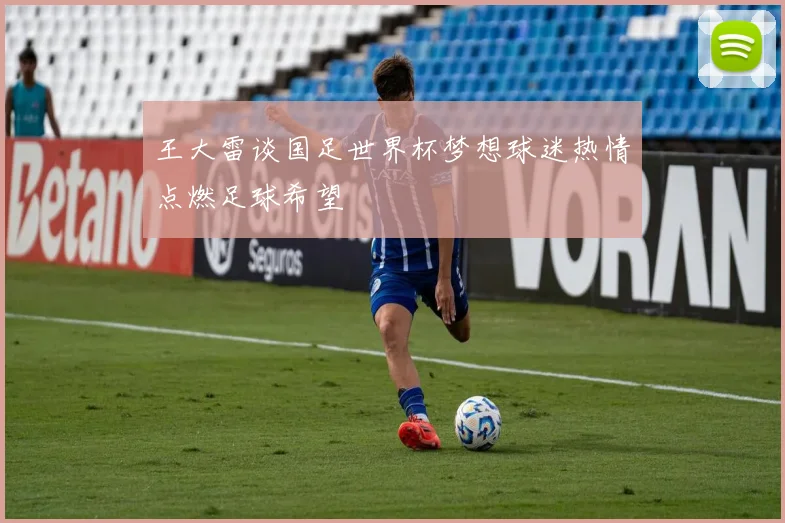 王大雷谈国足世界杯梦想球迷热情点燃足球希望